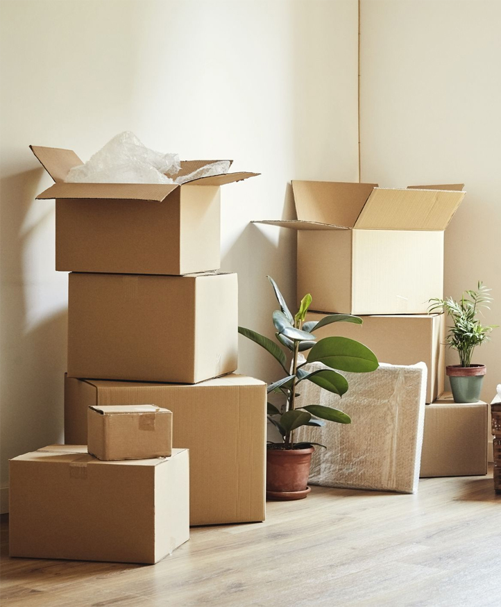 Aero Speed Cargo Movers