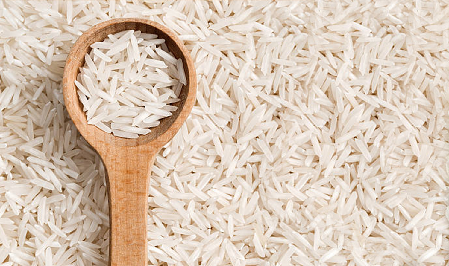 rice exporter and upplier from India