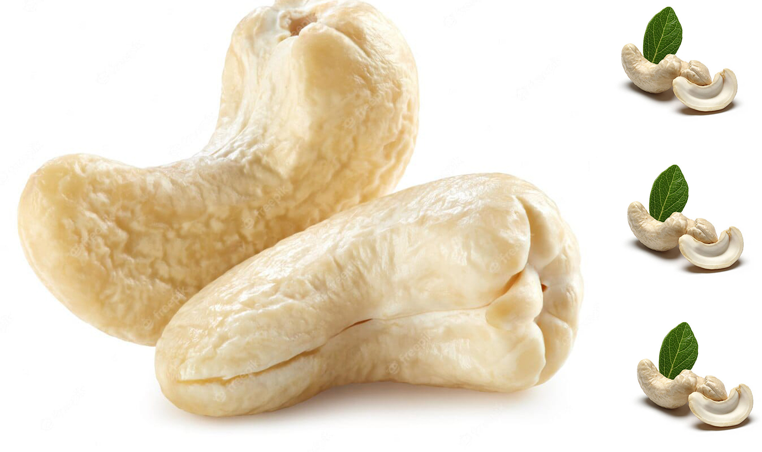 Cashews exporter and supplier from India